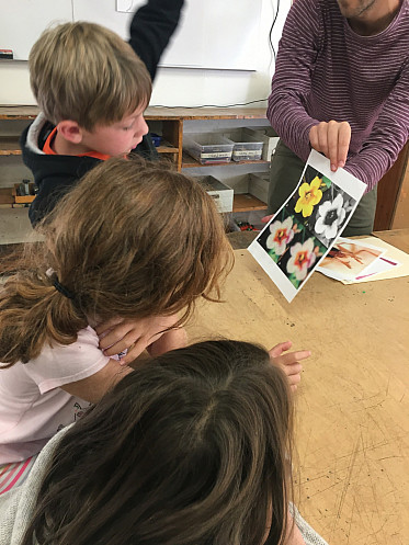 Compound eyes are pretty incredible!